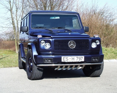 Edelstahlrohr mit Unterfahrschutz Ø 42 mm G 463