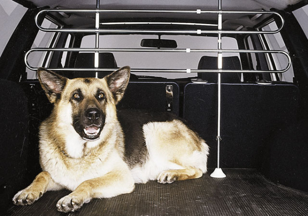 Hunde- und Gepäckschutzgitter 3
